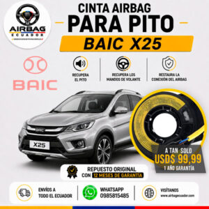 clock spring Baic X25